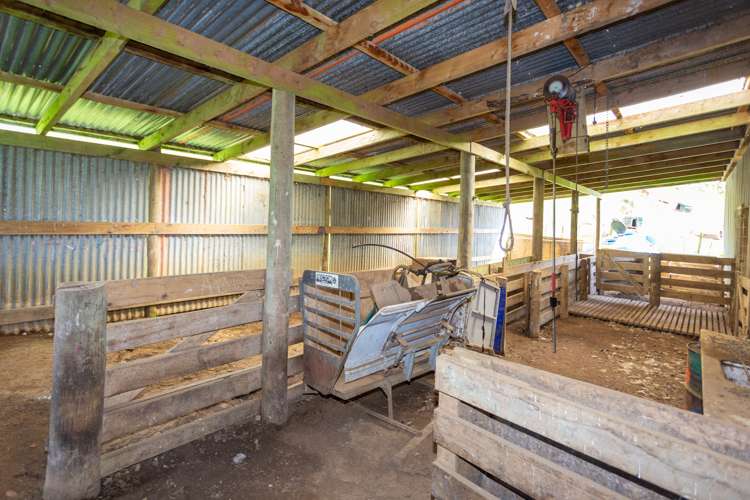 1304 Tokomaru East Road Brunswick_17