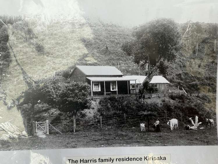 1169 Ngunguru Road Kiripaka_2