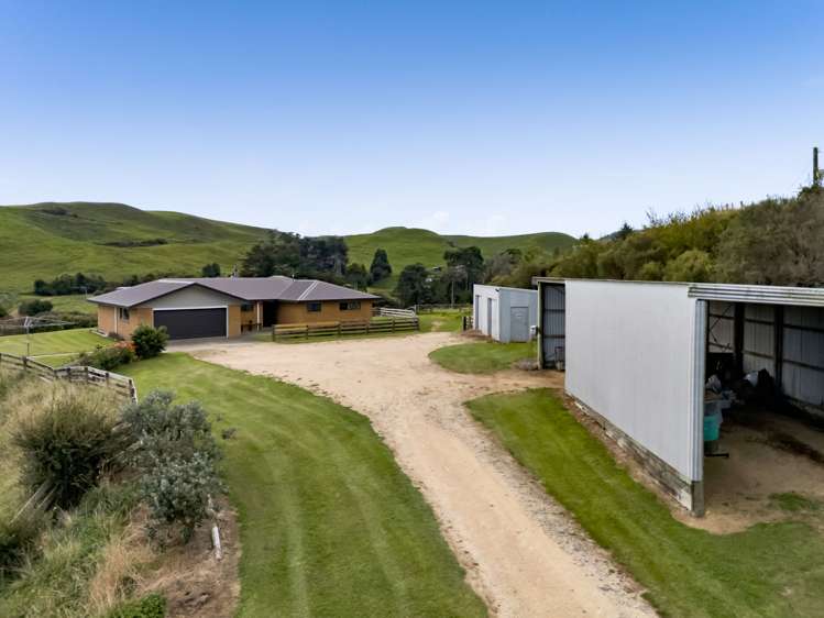 102 Manu Road Te Popo_13