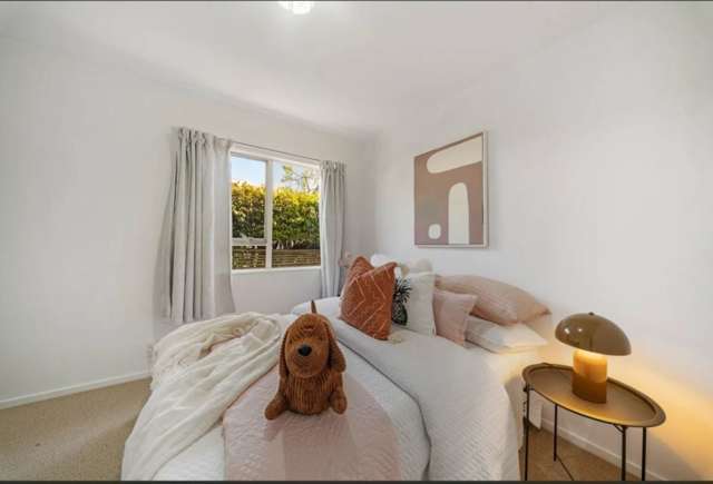 152A Hutchinson Avenue New Lynn_2