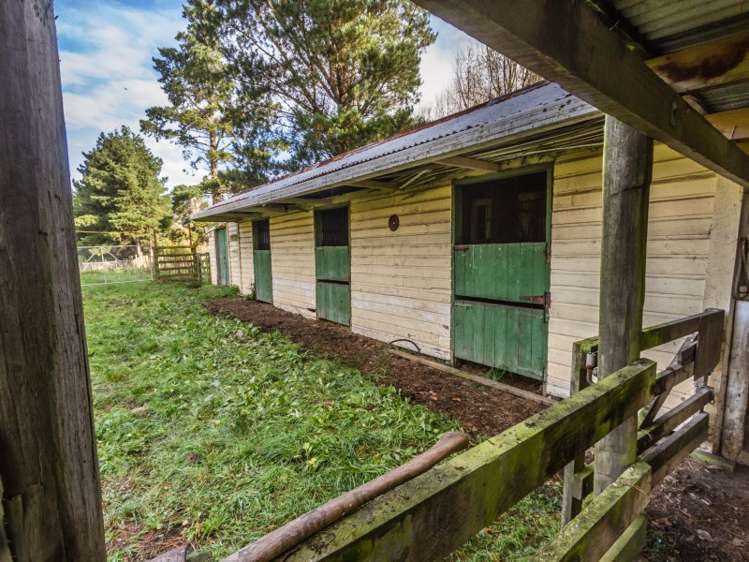 193 Mikimiki Road Mikimiki_10