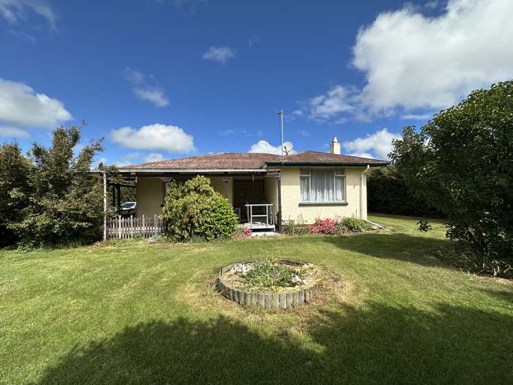 86 David Street Hinds_19