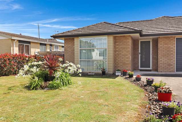 28 Nikau Place Matamata_4