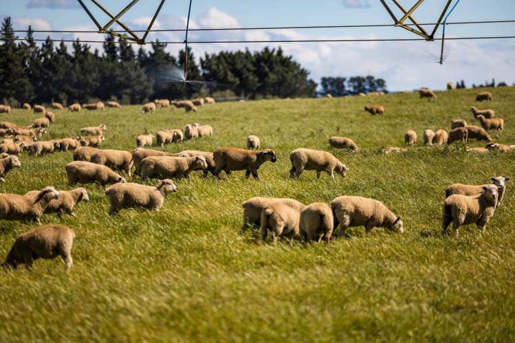 Address withheld Middlemarch_15