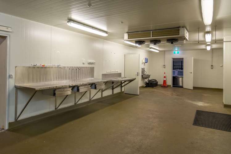 Ground Floor, 17 Mahia Street Ahuriri_5