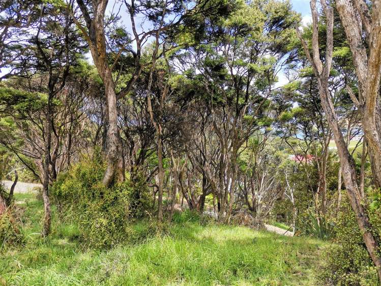 40 Waihuka Road Omapere_11