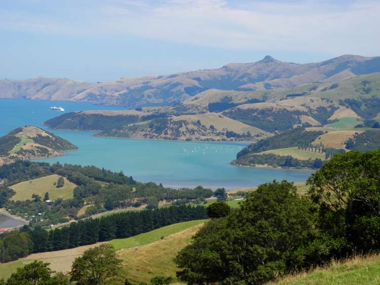 328 Pigeon Bay Road Pigeon Bay_7