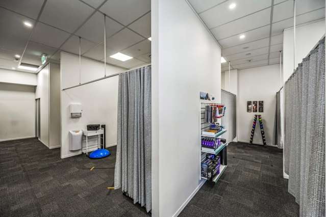 223 Greenlane West Epsom_2