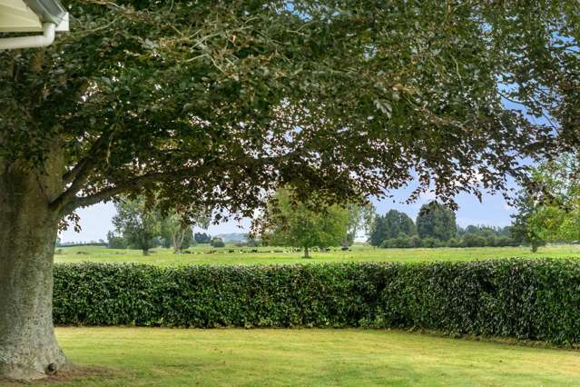 126 Payne Road Kihikihi_3