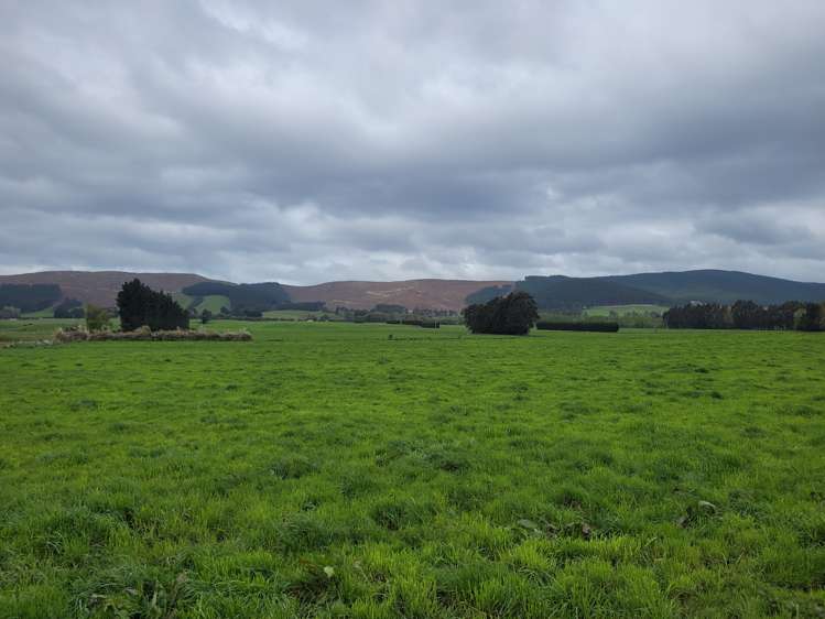 30 Phosphate Road Milton_6