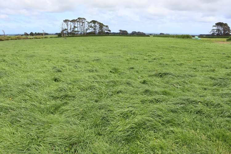 939 Auroa Road Auroa_22