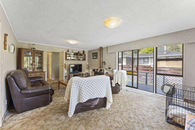 11 Amber Grove Birchville_8