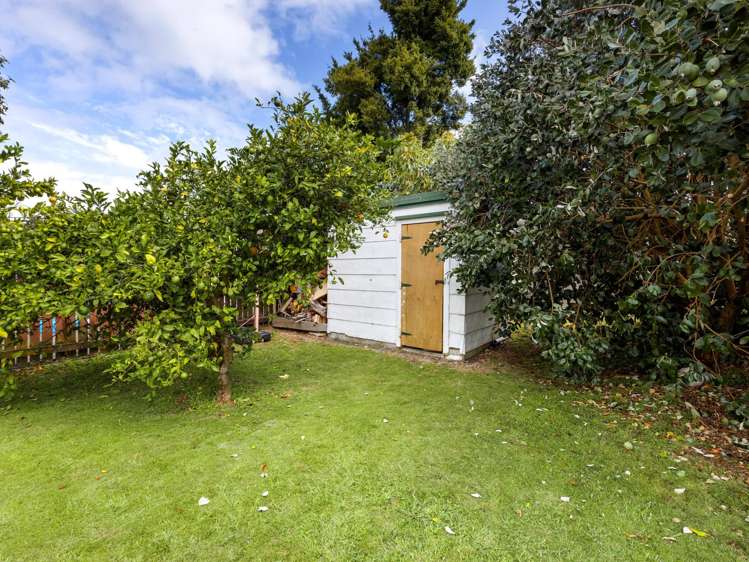 19 Elmwood Crescent Pukete_19