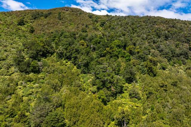 148 Tunakino Valley Road Rai Valley_3