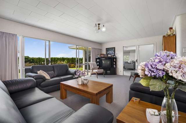 579 Belk Road Omanawa_4