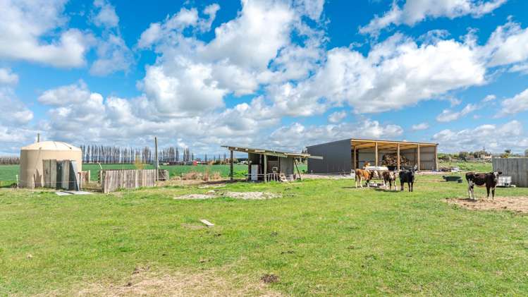 8 Barretts Road Seadown_19