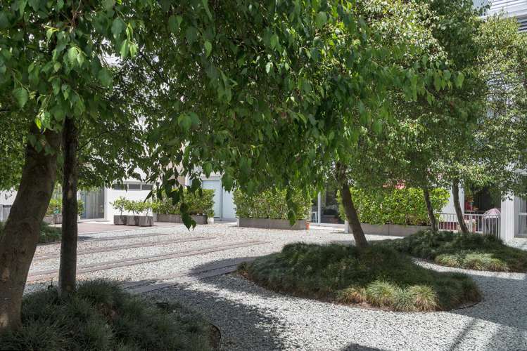 319/28 College Hill Freemans Bay_17