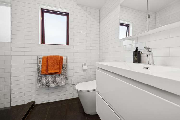 8a Wicklow Road Narrow Neck_9