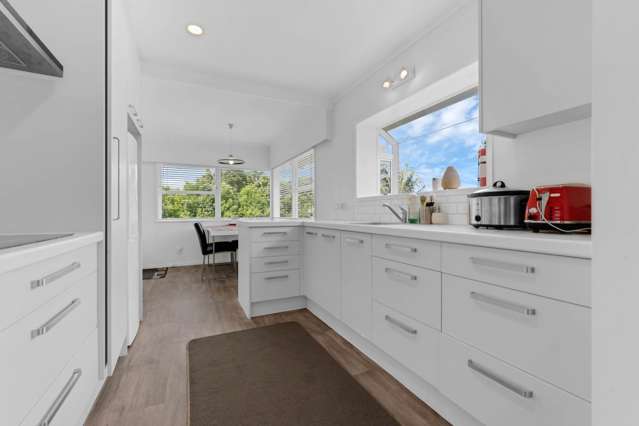 14 Borrowdace Avenue Botany Downs_2