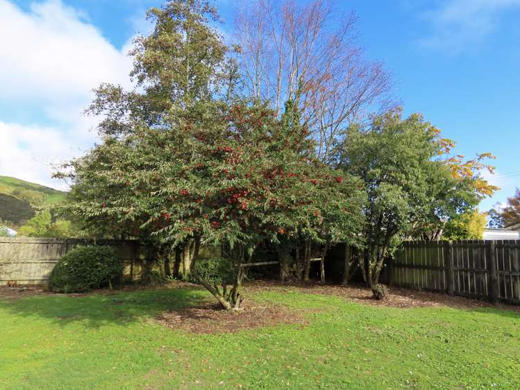 35 Cavell Street_2
