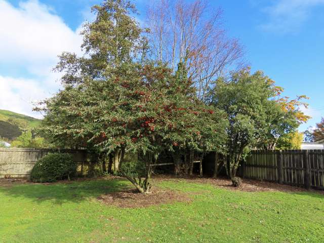 35 Cavell Street Reefton_2