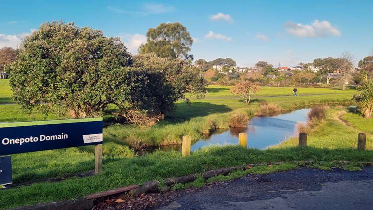 2 Puawai Place Northcote_10