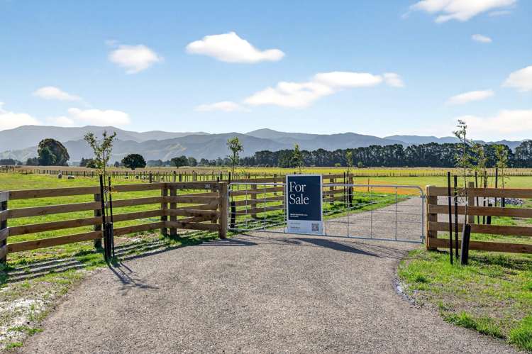 Lot 2, 36A Spencer Lane Greytown_8