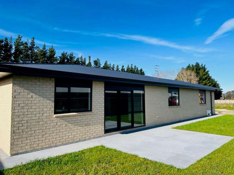 53 Hereford Street Marton_5