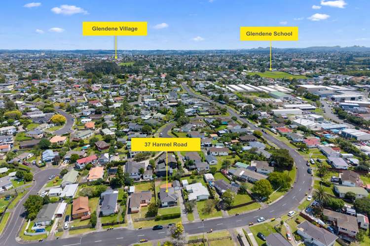 37 Harmel Road Glendene_23