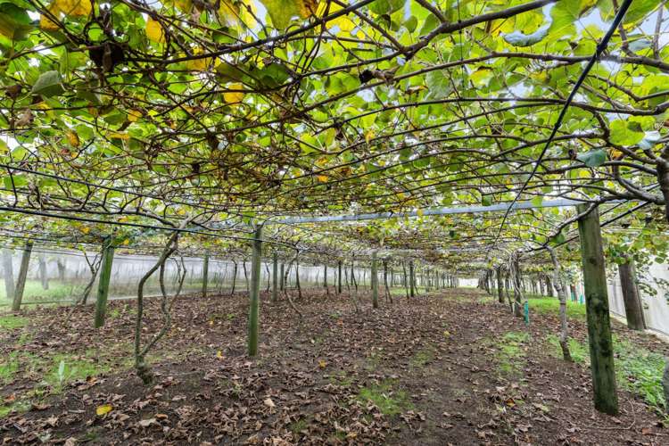 2206 State Highway 10 Kerikeri_7