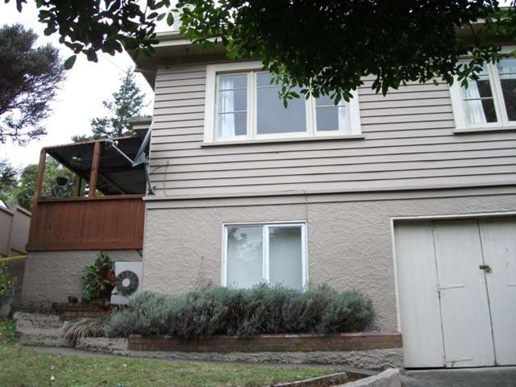 39 Murphy Street Toi Toi_9