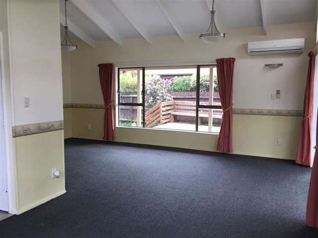 9 Chandler Street Tahunanui_3