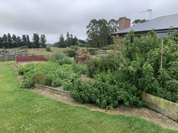 125 Hadlow Road 11293_20