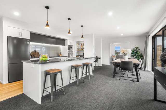 20 Halpin Drive Lincoln_2