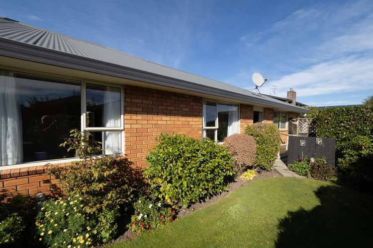 33 Buckleys Terrace Tinwald_5