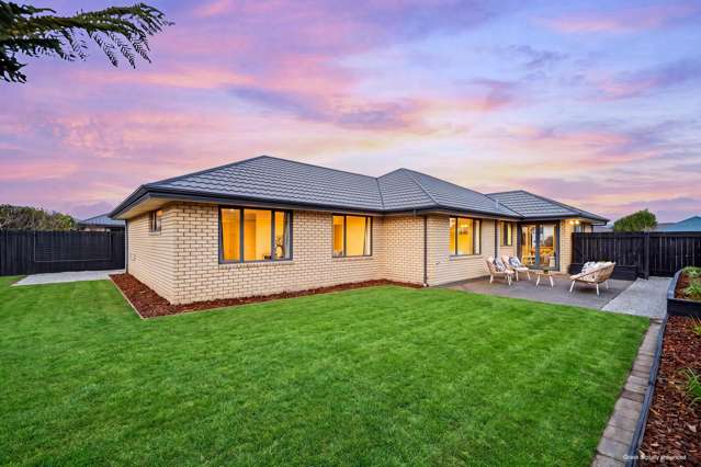 Modern, Sunny & Spacious!