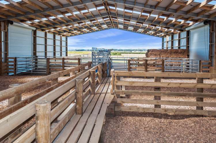 347 Inland North Road Tikorangi_3