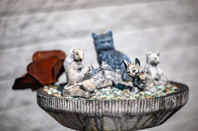 3 Dalton Crescent Dinsdale_15