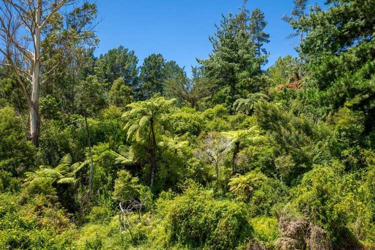 89 Matenga Road Ligar Bay_13