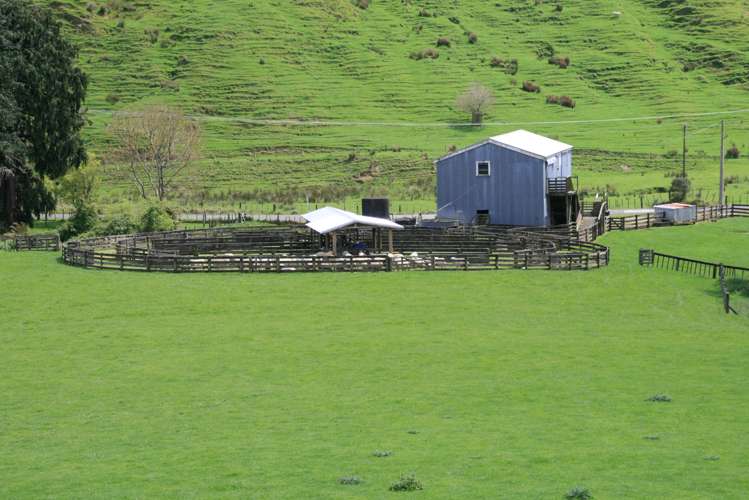 1756 Rawhitiroa Road Eltham_17