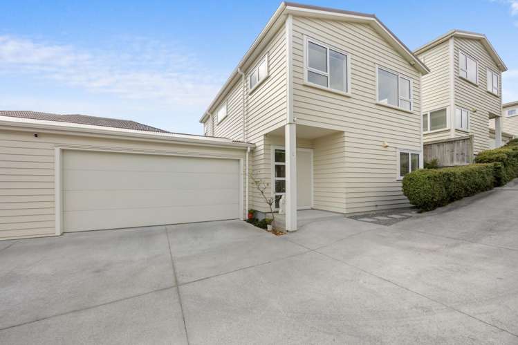 51C Grassways Avenue Pakuranga_0