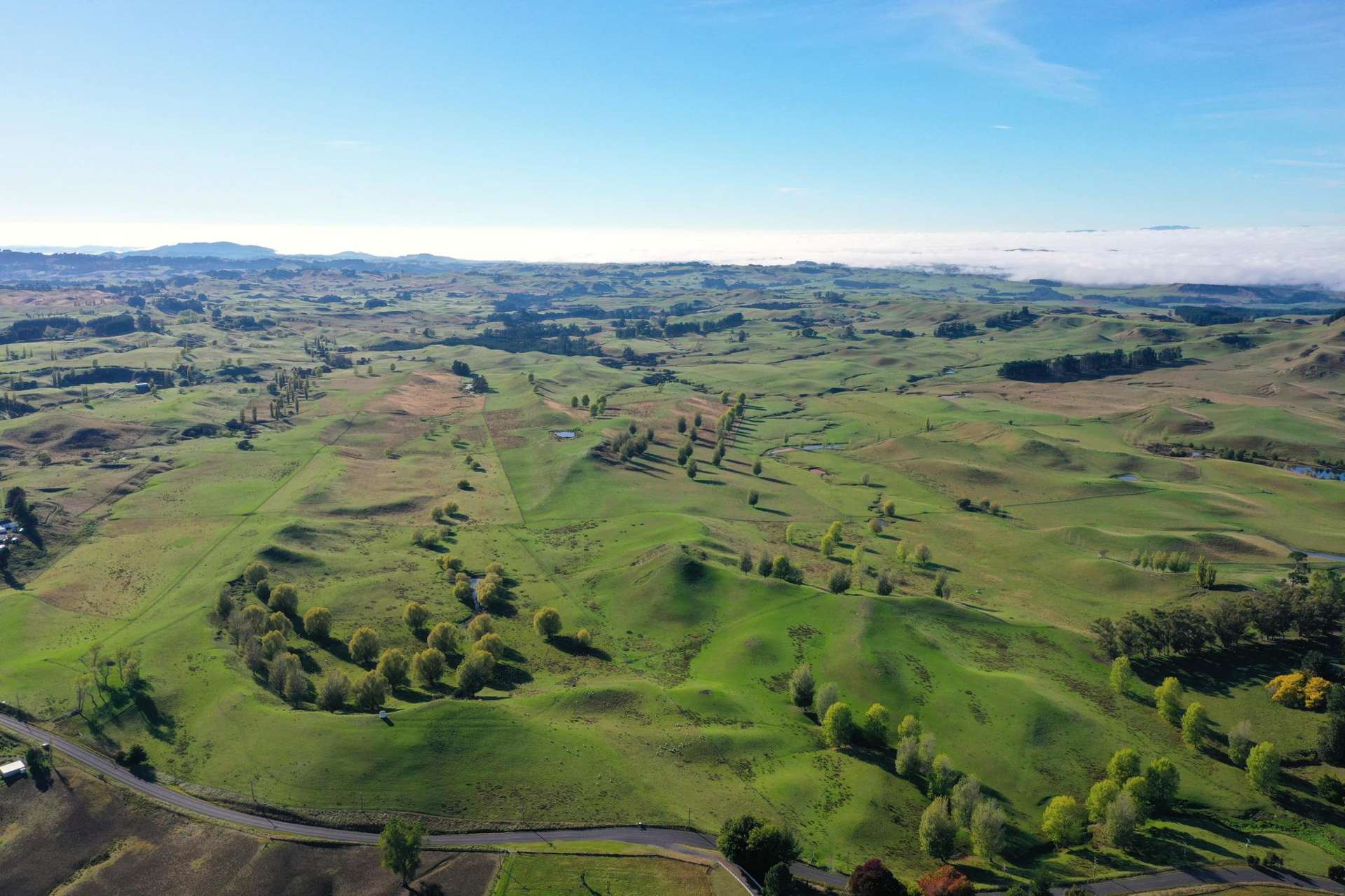 179 Otamauri Road Otamauri_0