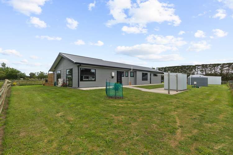 152a Motuiti Road Foxton_18