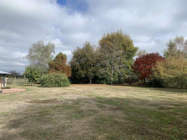 481 Orari Station Road 3312_10