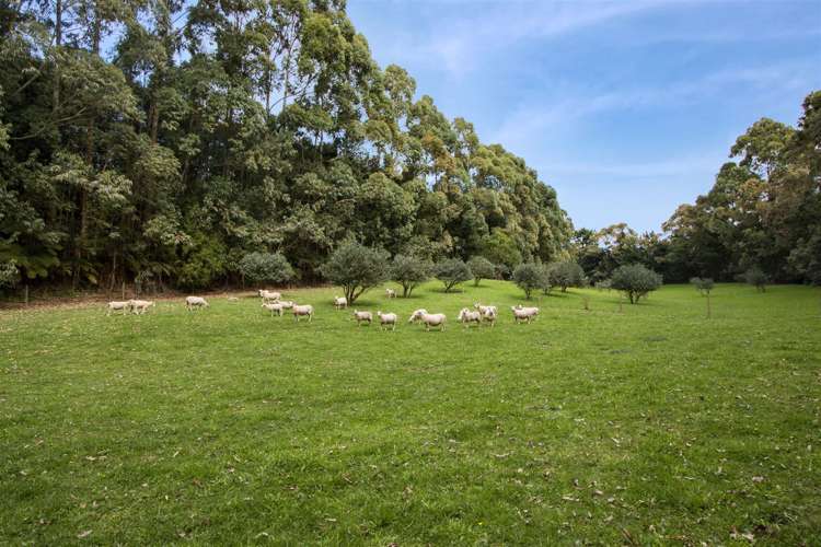 110 Tuapiro Road Hauraki Surrounds_15