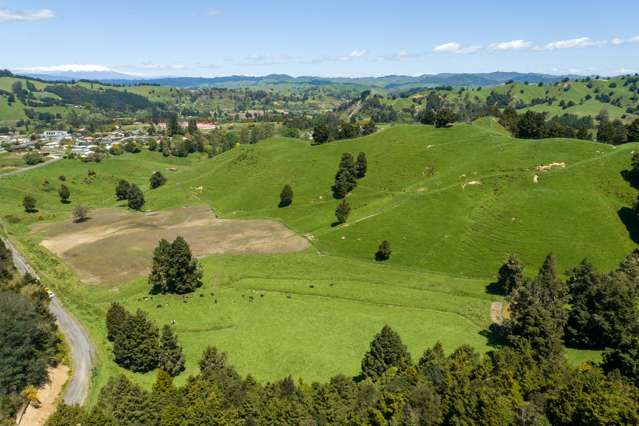 Lot 9/- Hekeawai Drive Taumarunui_2