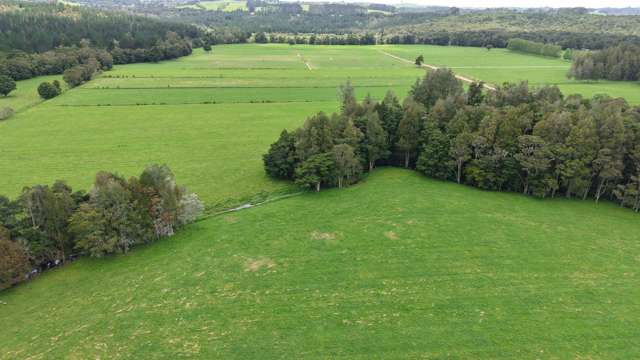 268 Punakitere Road Kaikohe_3