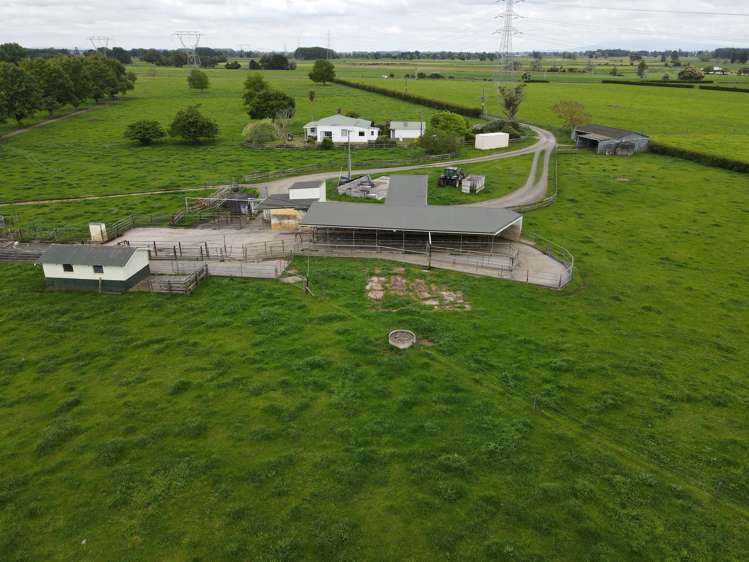 139 Taylor Road Gordonton_5