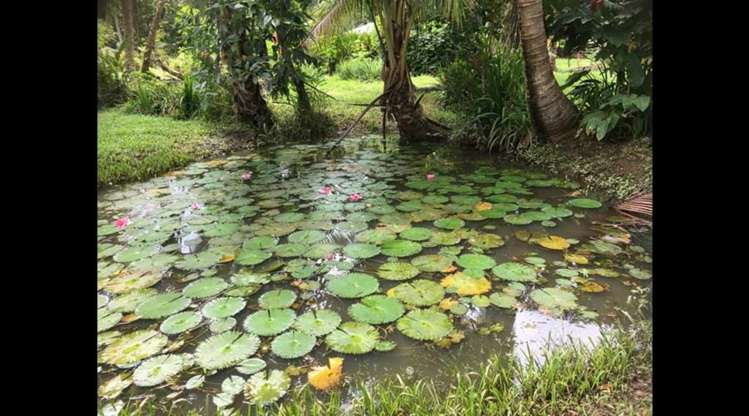 Address withheld Savusavu_33