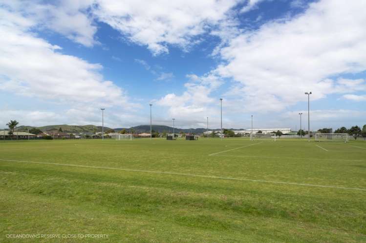 14 Francevic Ave Mt Maunganui_17